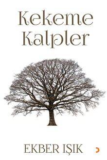 Kitap Fix