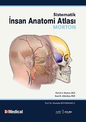 Morton İnsan Anatomisi