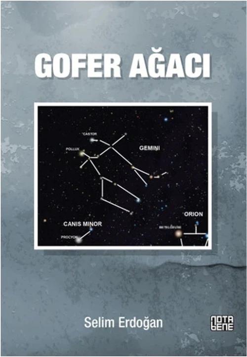 İdefix