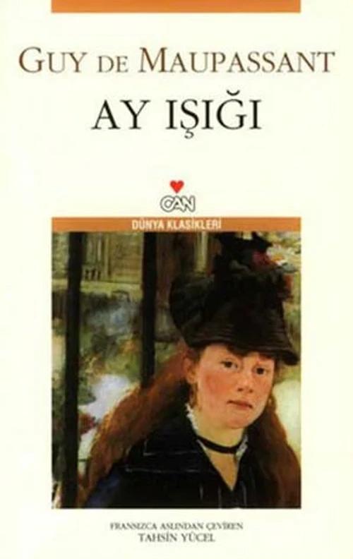 Ay Işığı