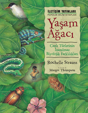 İletişim Yayınları