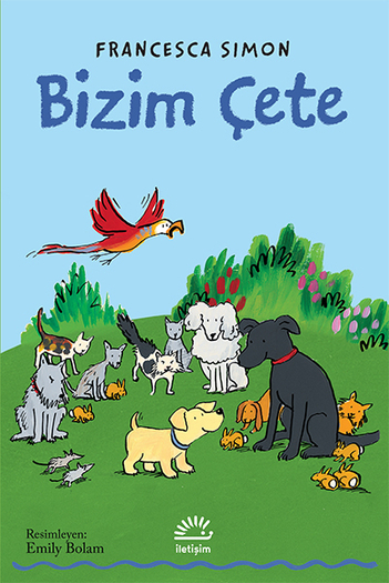 İletişim Yayınları