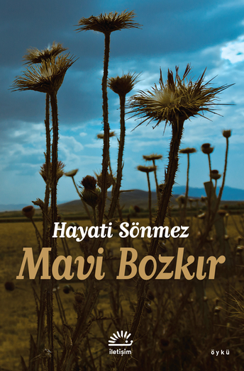 İletişim Yayınları