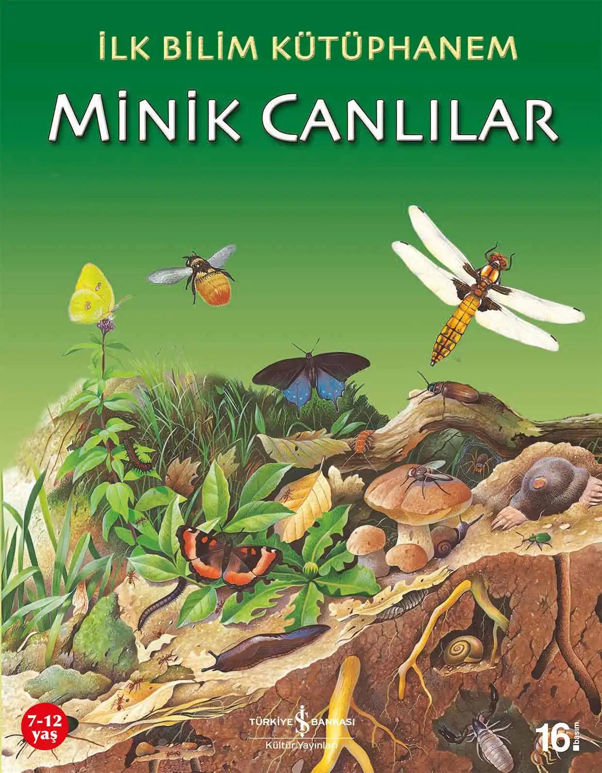 İş Kültür