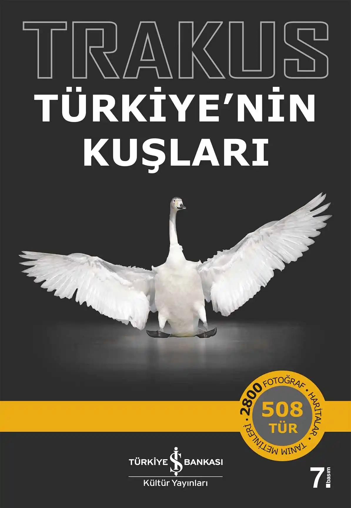 İş Kültür