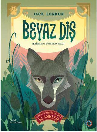 İstanbul Kitapçısı
