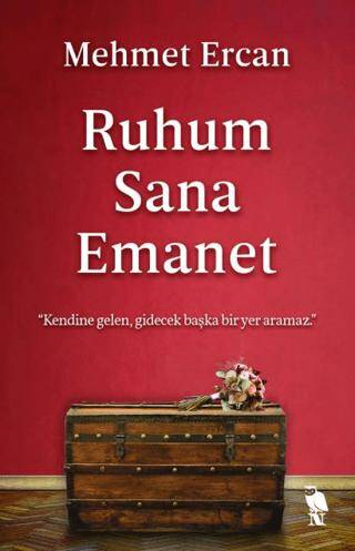 İstanbul Kitapçısı