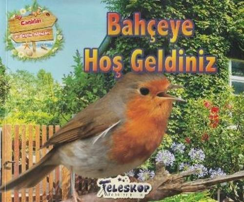 Kitap Ambarı