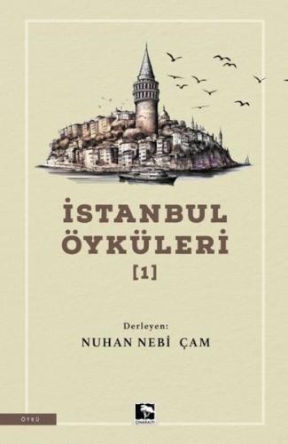 Kitap Ambarı