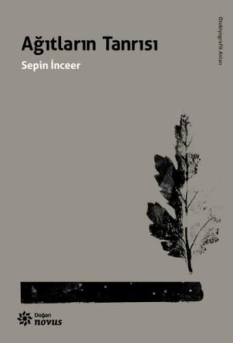Kitap Ambarı