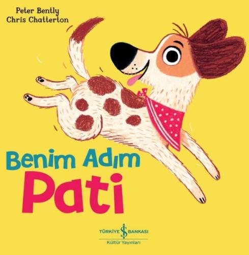 Kitap Ambarı