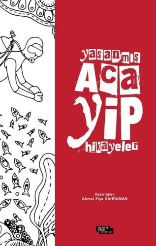 Kitap Ambarı