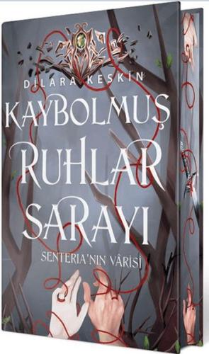 Kitap Ambarı