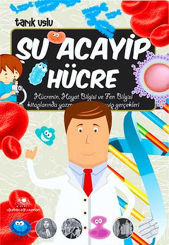 Kitap Ambarı