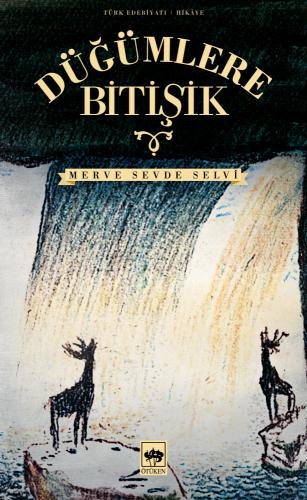 Kitap Ambarı