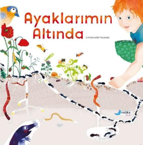 Kitap Ambarı