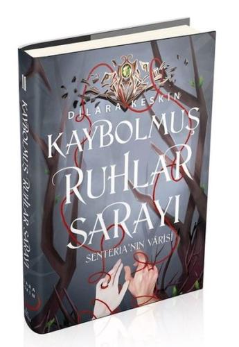 Kitap Ambarı