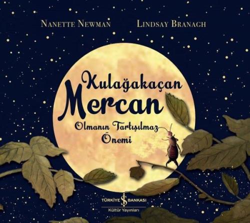 Kitap Ambarı