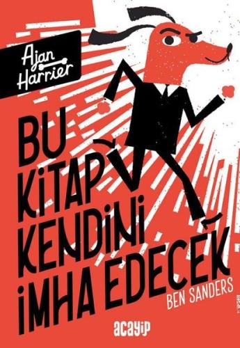 Kitap Ambarı
