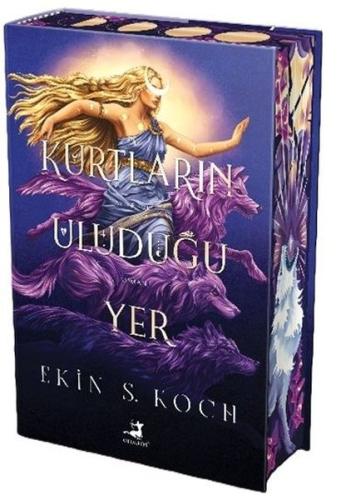 Kitap Ambarı