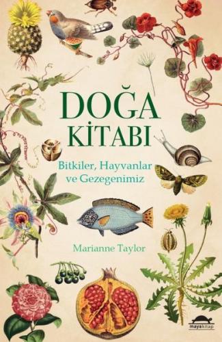 Kitap Ambarı