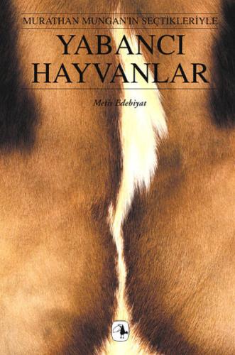Kitap Ambarı