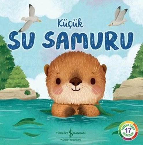 Kitap Ambarı