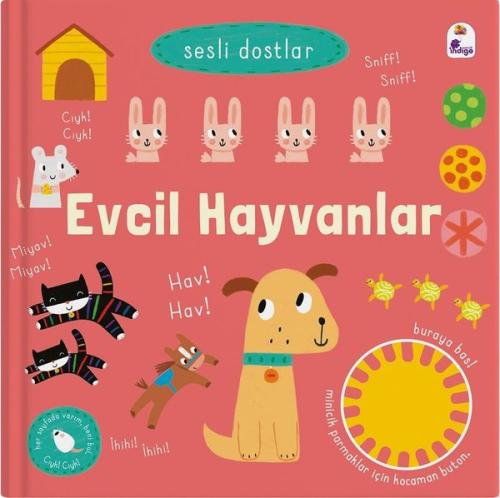 Kitap Ambarı