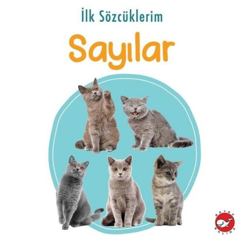 İlk Sözcüklerim Sayılar