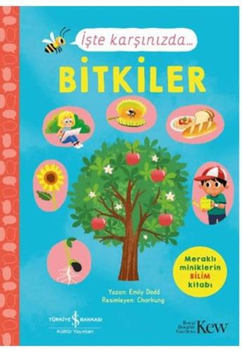 Kitap Ambarı