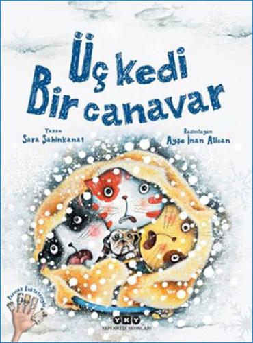 Kitap Ambarı