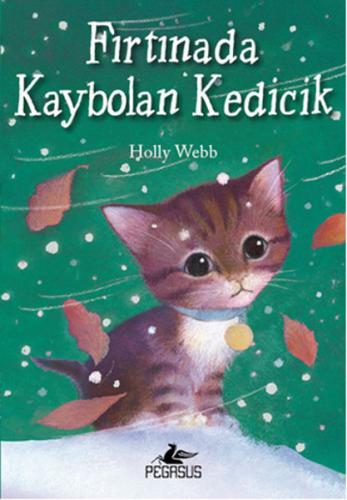Kitap Ambarı