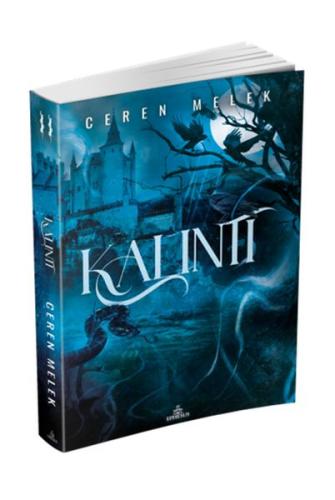 Kitap Ambarı