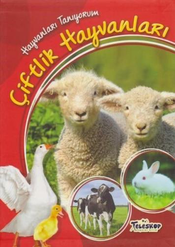 Kitap Ambarı