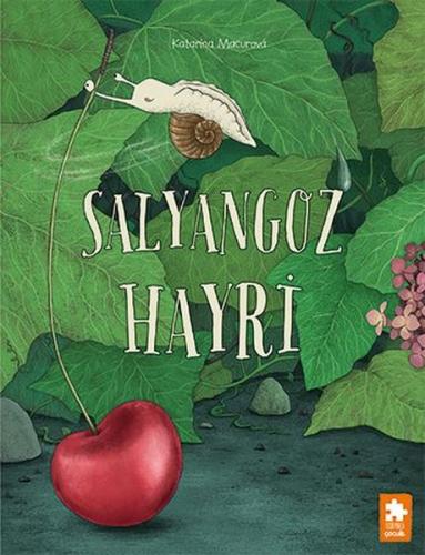 Kitap Ambarı
