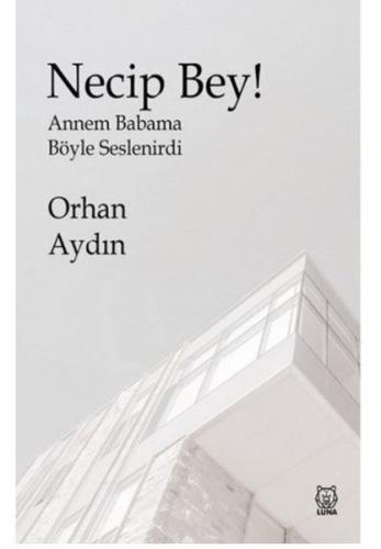 Necip Bey
