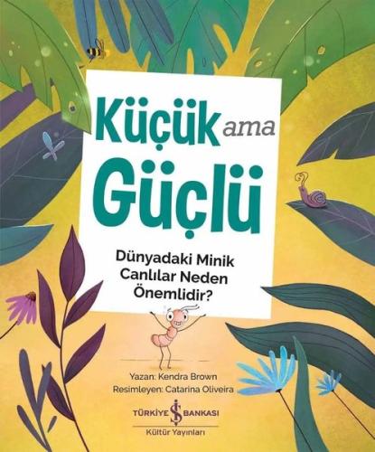 Kitap Ambarı