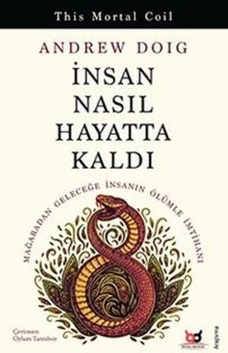 Kitap Ambarı