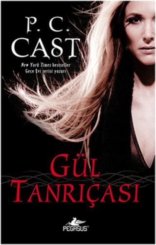 Kitap Ambarı