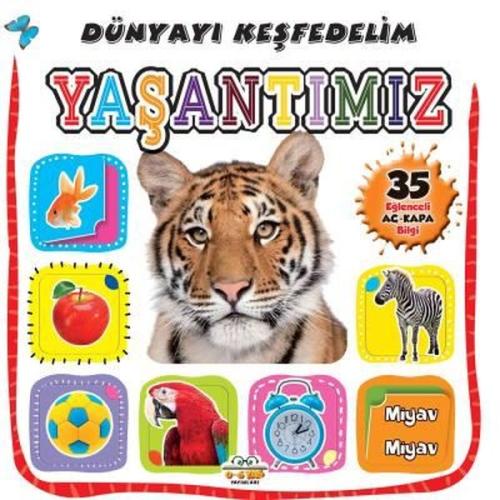 Kitap Ambarı