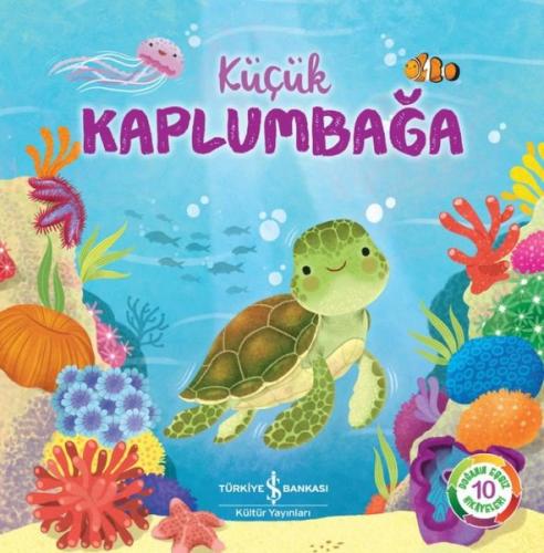 Kitap Ambarı