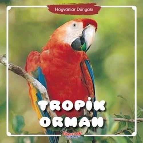 Tropik Orman Hayvanlar Dünyası