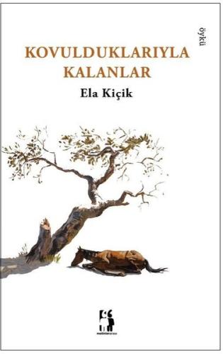 Kitap Ambarı