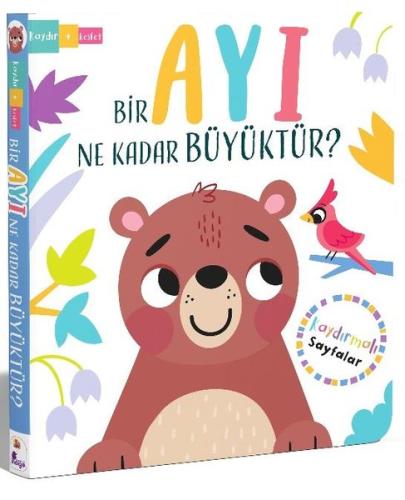 Kitap Ambarı