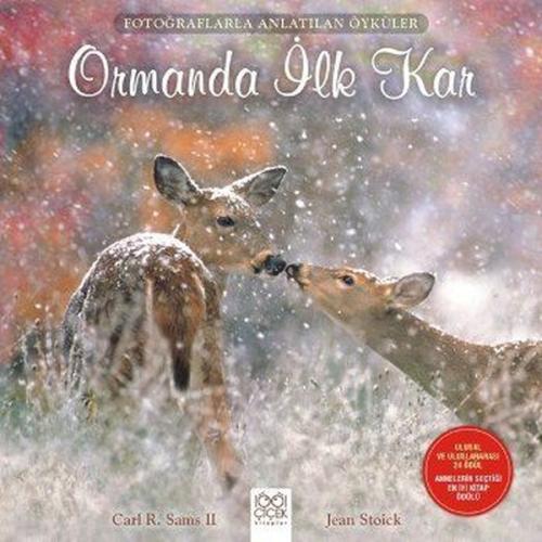 Kitap Ambarı
