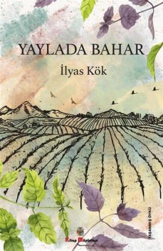 Kitap Ambarı