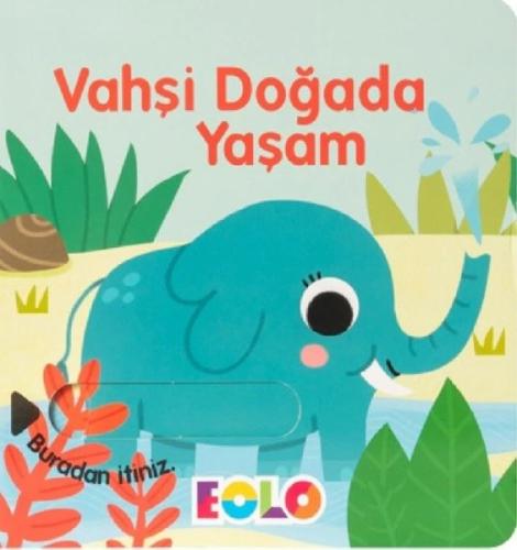 Kitap Ambarı