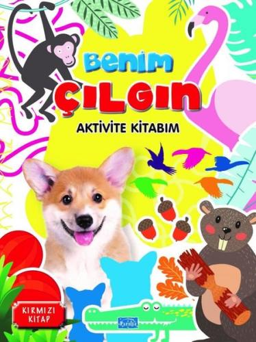 Kitap Ambarı