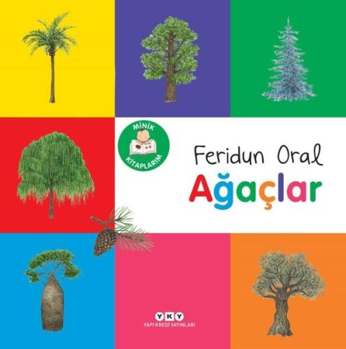 Kitap Ambarı