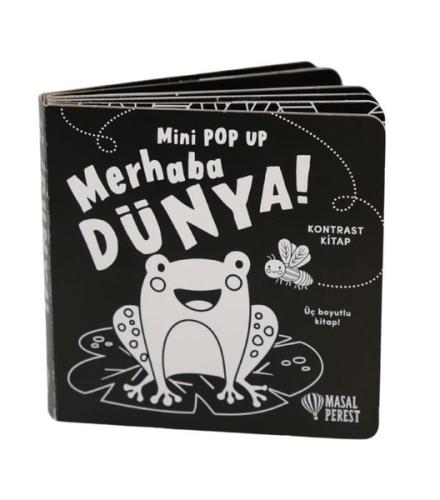 Kitap Ambarı